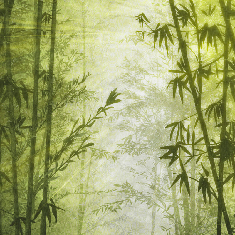Dettaglio carta da parati botanica Bambù Dorado oro e verde bosco, collezione Savana Europarati Z77588