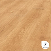 Collezione di pavimenti in laminato BAUFLOOR LAMINATE MAGENTA 7mm