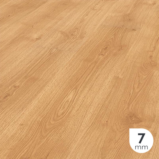 Collezione di pavimenti in laminato BAUFLOOR LAMINATE MAGENTA 7mm