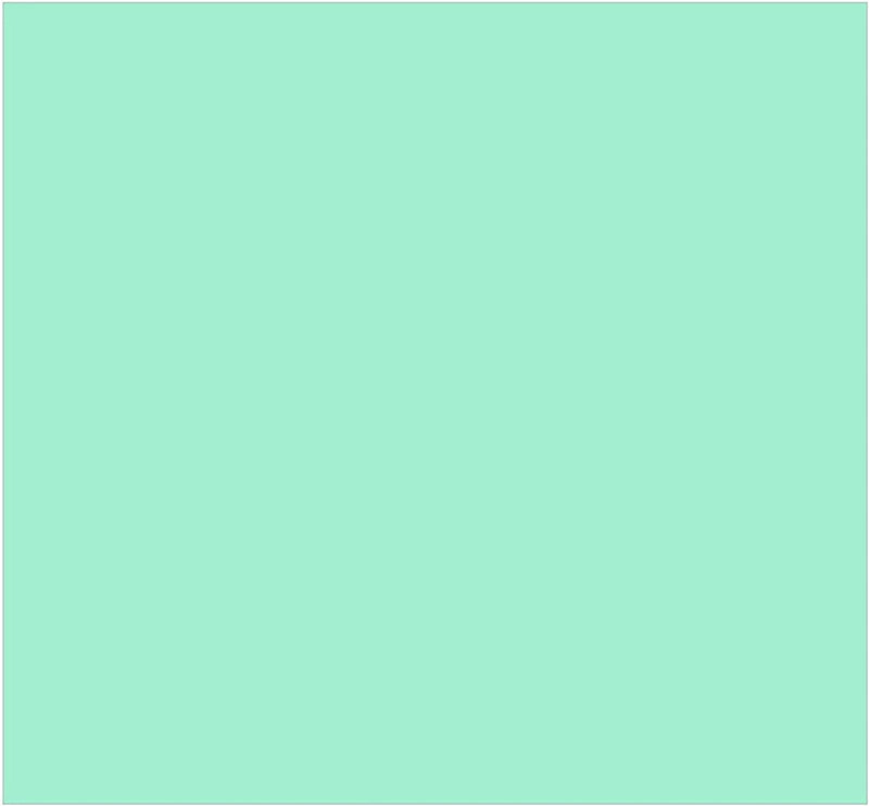 Pittura per interni colorata traspirante opaca 4 Litri