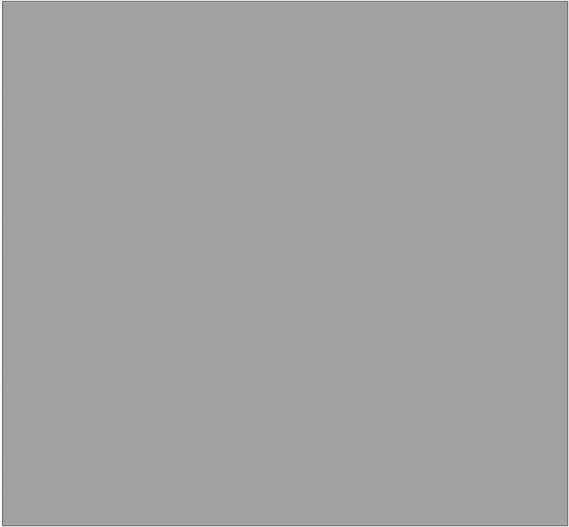 Pittura per interni colorata traspirante opaca 4 Litri