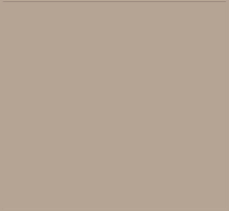 Pittura per interni colorata traspirante opaca 4 Litri