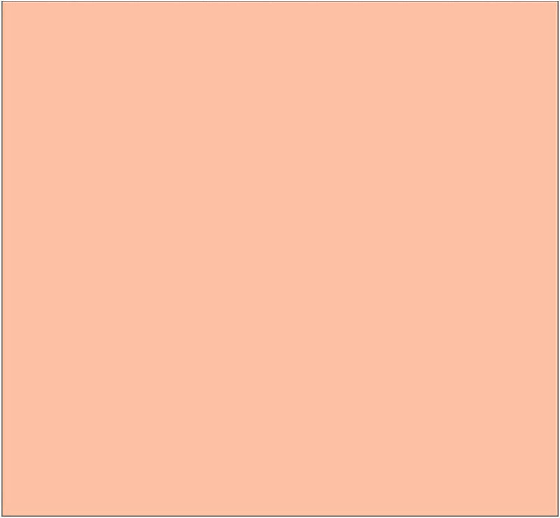 Pittura per interni colorata traspirante opaca 4 Litri