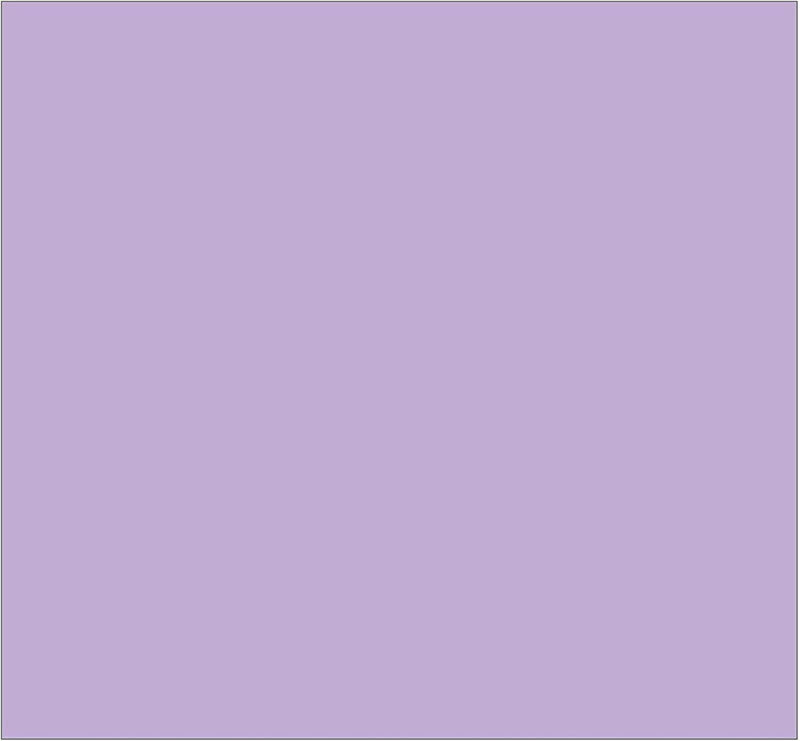 Pittura per interni colorata traspirante opaca 4 Litri